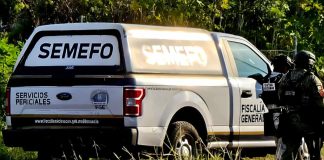 Hallan a hombre ejecutado en huerta de limón, en Buenavista Tomatlán