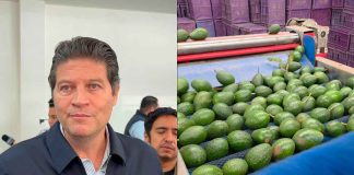 Exige edil moreliano mayor seguridad integral para sector aguacatero ante cierre de frontera