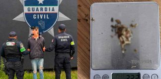 GC detiene a sujeto y le asegura marihuana, al norte de Morelia