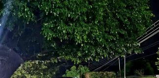 Con armas largas matan a un joven en la tenencia de “La Ruana”