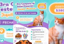 Jiquilpan impulsa la tenencia responsable con la 3ra Campaña de Esterilización
