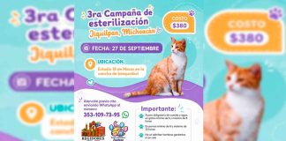 Jiquilpan impulsa la tenencia responsable con la 3ra Campaña de Esterilización