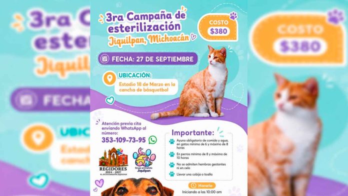 Jiquilpan-impulsa-la-tenencia