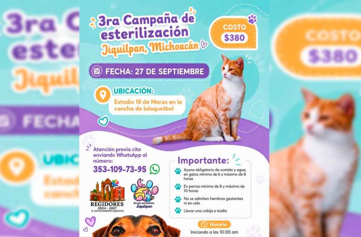 Jiquilpan impulsa la tenencia responsable con la 3ra Campaña de Esterilización