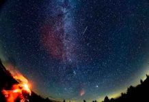 Las Perseidas ya tienen fecha y horario para verse desde México: Así podrás disfrutar el espectáculo