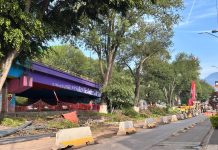 Bedolla modifica proyecto del Morebús en Tres Puentes para evitar más tala de árboles