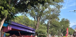 Bedolla modifica proyecto del Morebús en Tres Puentes para evitar más tala de árboles