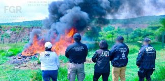 Destruye FGR más de mil objetos del delito asegurados en Michoacán