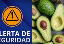 Se reactiva exportación de aguacate michoacano a EE.UU. a partir del 8 de agosto