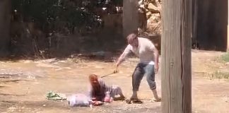 VIDEO // Tras salir de prisión en Suiza por matar a su esposa, sujeto golpea brutalmente a su madre en Turquía