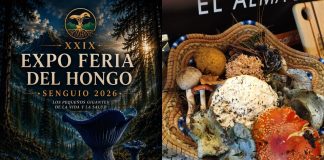 Senguio celebra la riqueza de sus bosques con la Expo Feria del Hongo 2026
