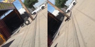 #VIDEO // Lomito “chambeador” conquista internet tras ayudar a pasar llantas en una vulcanizadora