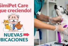 Farmacias Similares expande las veterinarias del Dr. Simi en México: estas son sus ubicaciones y servicios
