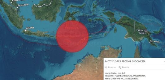 Sismo de magnitud 7.7 sacude el este de Indonesia; descartan riesgo de tsunami