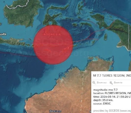 Sismo de magnitud 7.7 sacude el este de Indonesia; descartan riesgo de tsunami