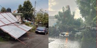 Fuerte tromba derriba árboles y causa afectaciones en distintos puntos de Uruapan