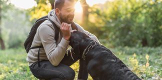 ¿Tu perro te entiende cuando le hablas? Esto dice la ciencia sobre cómo procesa nuestras palabras