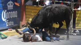 #VIDEO // Corrida de toro en la Huamantlada 2026 deja un muerto y nueve lesionados en Tlaxcala