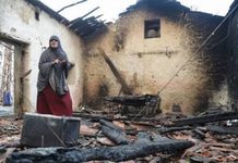 Argelia busca reinstaurar la pena de muerte para pirómanos tras 12 muertes por incendio