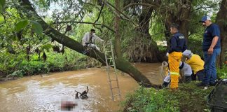 Tras varios días de búsqueda localizan en un río, el cadáver de motociclista que sufrió accidente en Tangancícuaro