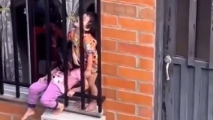 Niño tira a gatito de azotea (34)