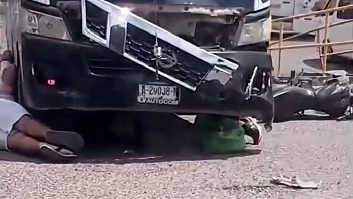 Niño tira a gatito de azotea (47)