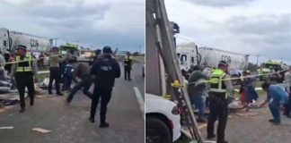 #VIDEO // Volcadura de tráiler desata rapiña de pantalones en la autopista México-Tulancingo