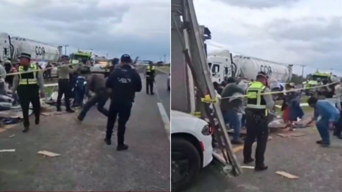 Niño tira a gatito de azotea (60)