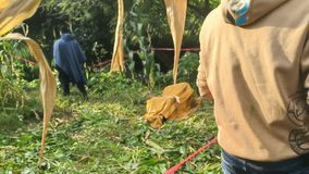 Localizan a cazador sin vida dentro de barranco en Peribán
