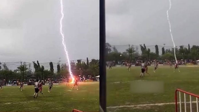 Niño tira a gatito de azotea (90)