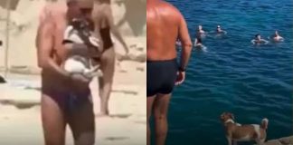 #VIDEO // Perrito vence su miedo y se lanza al mar por primera vez con el apoyo de bañistas