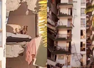 #VIDEO // Perrito queda atrapado en quinto piso de edificio colapsado por sismo en Colombia