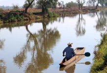 Rehabilitación de canal en Erongarícuaro reactiva la pesca y economía de las comunidades