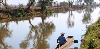 Rehabilitación de canal en Erongarícuaro reactiva la pesca y economía de las comunidades