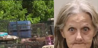 Arrestan a empleada del servicio postal por tener 108 perros y gatos en condiciones insalubres