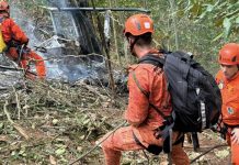 #VIDEO // Caída de helicóptero en un bosque de Brasil deja al menos 4 muertos
