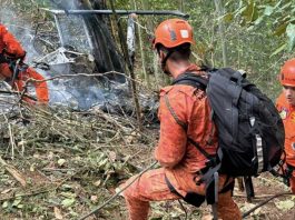 #VIDEO // Caída de helicóptero en un bosque de Brasil deja al menos 4 muertos