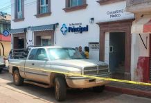 Adulto mayor muere tras ser atacado por abejas en Tacámbaro