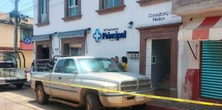 Adulto mayor muere tras ser atacado por abejas en Tacámbaro
