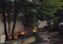 #VIDEO // Árbol se incendia tras ser impactado por un rayo, en la colonia Bocanegra de Morelia