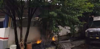 #VIDEO // Árbol se incendia tras ser impactado por un rayo, en la colonia Bocanegra de Morelia