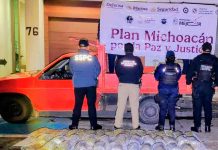 Asegura SSP cerca de 45 kilos de marihuana ocultos en vehículo; hay 2 detenidos