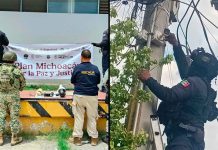 Aseguran SSP y fuerzas federales 12 cámaras parásitas en Apatzingán