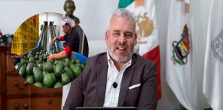 Suspensión del aguacate a EU es preventiva por seguridad tras detención de “La Quiringa”: Bedolla