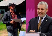 Bedolla señaló que la FGR está a cargo de la investigación de la desaparición de ambientalista de Bedolla