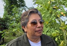 Entregó COFOM 8 de 10 millones de árboles para reforestación 2026