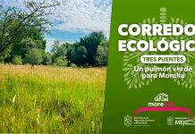 Corredor Ecológico de Tres Puentes será un pulmón verde para Morelia