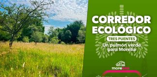 Corredor Ecológico de Tres Puentes será un pulmón verde para Morelia