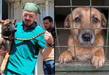 Suman ocho personas remitidas a Corte Municipal por mal cuidado de mascotas en Morelia