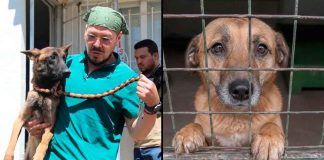 Suman ocho personas remitidas a Corte Municipal por mal cuidado de mascotas en Morelia